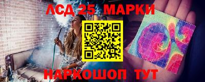 тгк Новозыбков