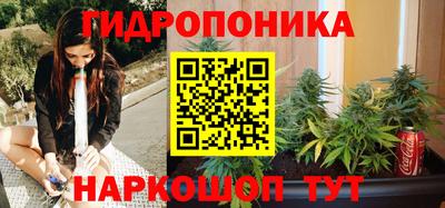 тгк Новокубанск
