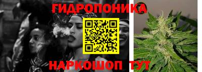 тгк Новокубанск