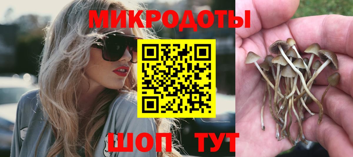 Галлюциногенные грибы Magic Shrooms  Псилоцибиновые грибы ЛСД  Вход с VPN  Тайшет 
